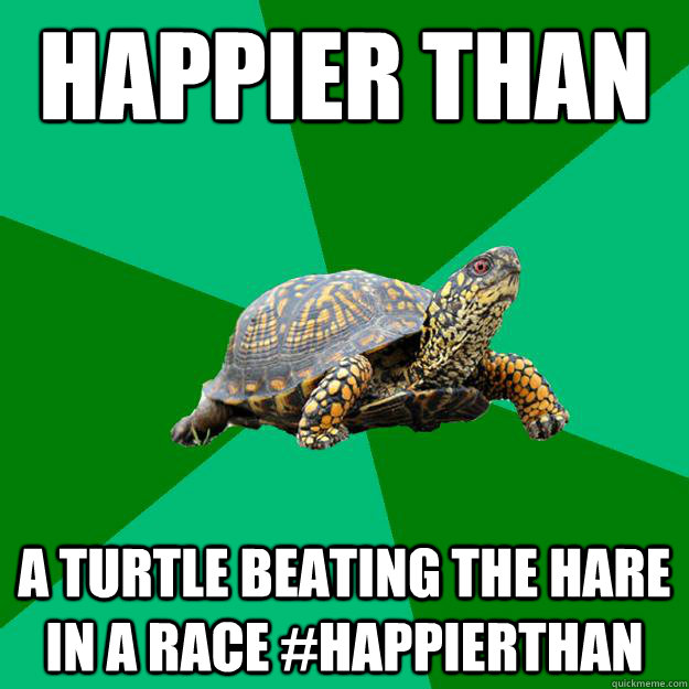 Happier Than a turtle beating the hare in a race #HappierThan  Torrenting Turtle