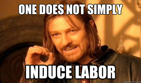 One Does Not Simply Induce LABOR - One Does Not Simply Induce LABOR  Boromir