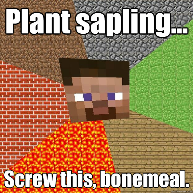 Plant sapling... Screw this, bonemeal. - Plant sapling... Screw this, bonemeal.  Minecraft