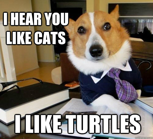 I hear you like cats i like turtles   Lawyer Dog