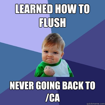 learned how to flush never going back to /ca  Success Kid