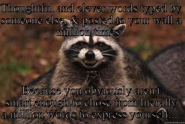 THOUGHTFUL AND CLEVER WORDS TYPED BY SOMEONE ELSE, & POSTED TO YOUR WALL A MILLION TIMES.. BECAUSE YOU OBVIOUSLY AREN'T SMART ENOUGH TO CHOSE FROM LITERALLY A MILLION WORDS TO EXPRESS YOURSELF...  Evil Plotting Raccoon