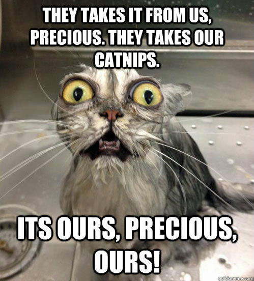 THEY TAKES IT FROM US, PRECIOUS. THEY TAKES OUR CATNIPS. ITS OURS, PRECIOUS, OURS! - THEY TAKES IT FROM US, PRECIOUS. THEY TAKES OUR CATNIPS. ITS OURS, PRECIOUS, OURS!  AwwKitty