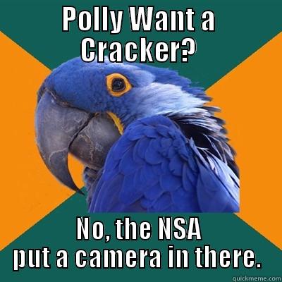 Polly Want a Cracker? - POLLY WANT A CRACKER? NO, THE NSA PUT A CAMERA IN THERE.  Paranoid Parrot