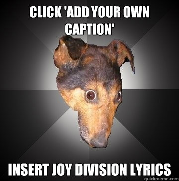 click 'add your own caption' insert joy division lyrics  Depression Dog