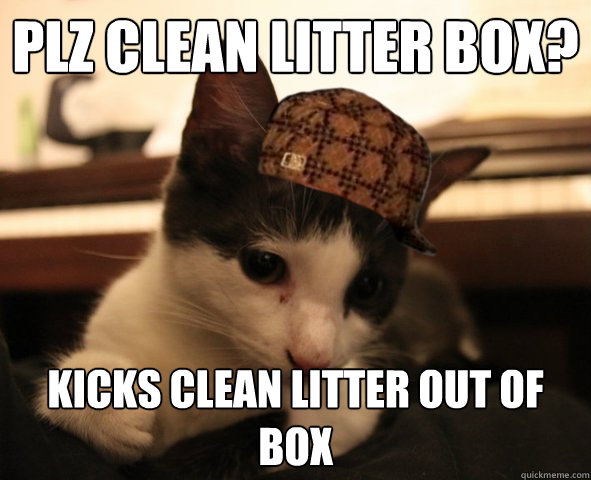 plz clean litter box? kicks clean litter out of box - plz clean litter box? kicks clean litter out of box  Scumbag sophie kitten