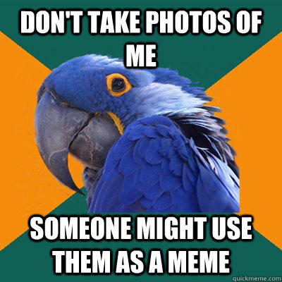 Don't take photos of me someone might use them as a meme  Paranoid Parrot