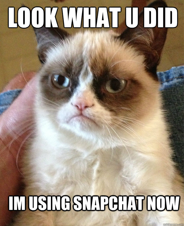 Look What u did
 Im Using Snapchat Now  Grumpy Cat