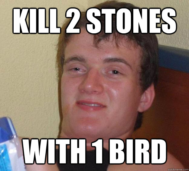 KILL 2 STONES WITH 1 BIRD  10 Guy