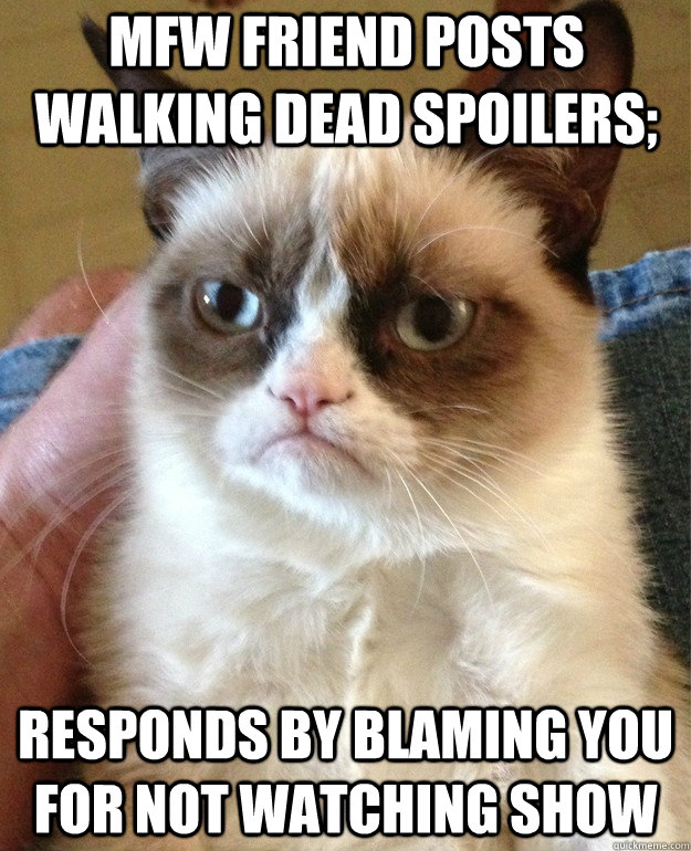 MFW Friend posts walking dead spoilers; responds by blaming you for not watching show  Grumpy Cat