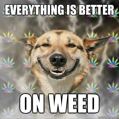 Everything is Better on WEED  Stoner Dog