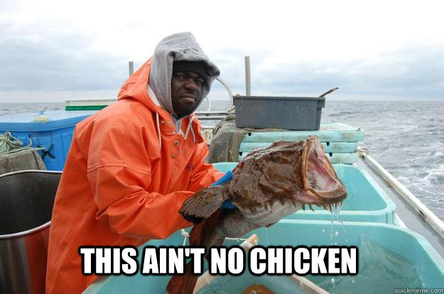 This ain't no chicken  Disgruntled Black Fisherman