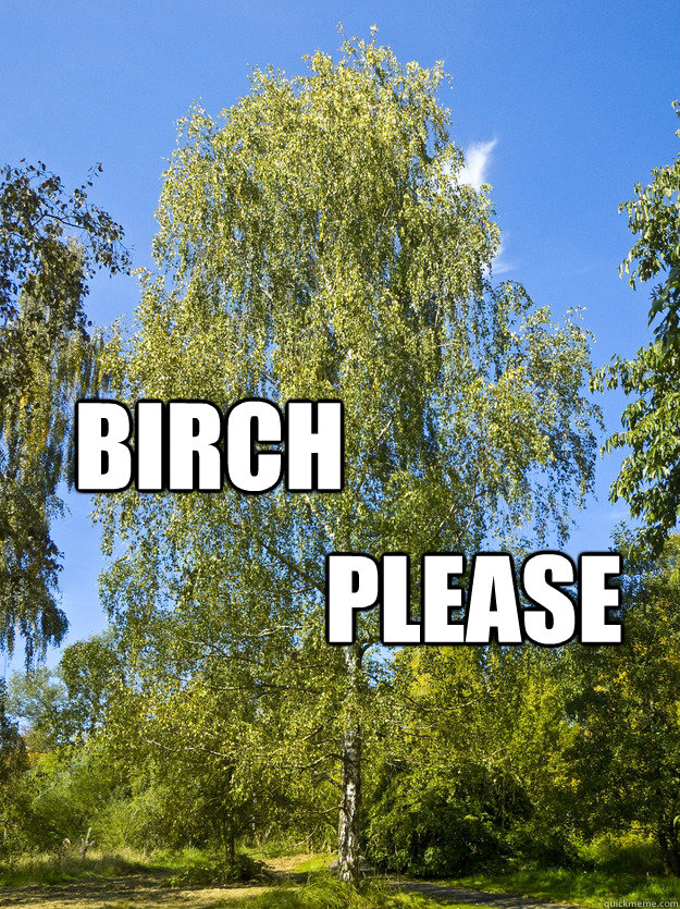 Birch Please  Birch Please