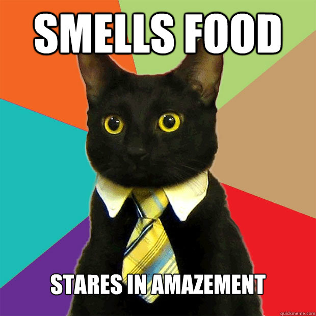 Smells food Stares in amazement  Business Cat