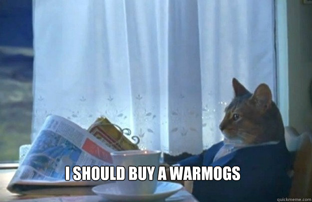 I should buy a warmogs  Sophisticated Cat