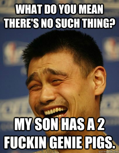 What do you mean there's no such thing? My son has a 2 fuckin genie pigs.   Yao Ming