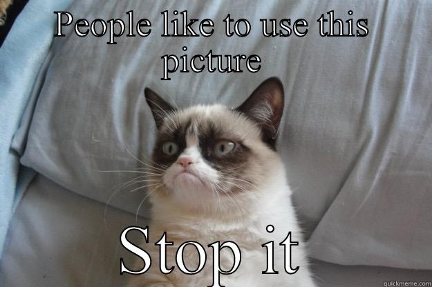 PEOPLE LIKE TO USE THIS PICTURE STOP IT Grumpy Cat