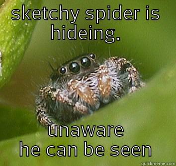 sketchy spider  - SKETCHY SPIDER IS HIDEING. UNAWARE HE CAN BE SEEN Misunderstood Spider