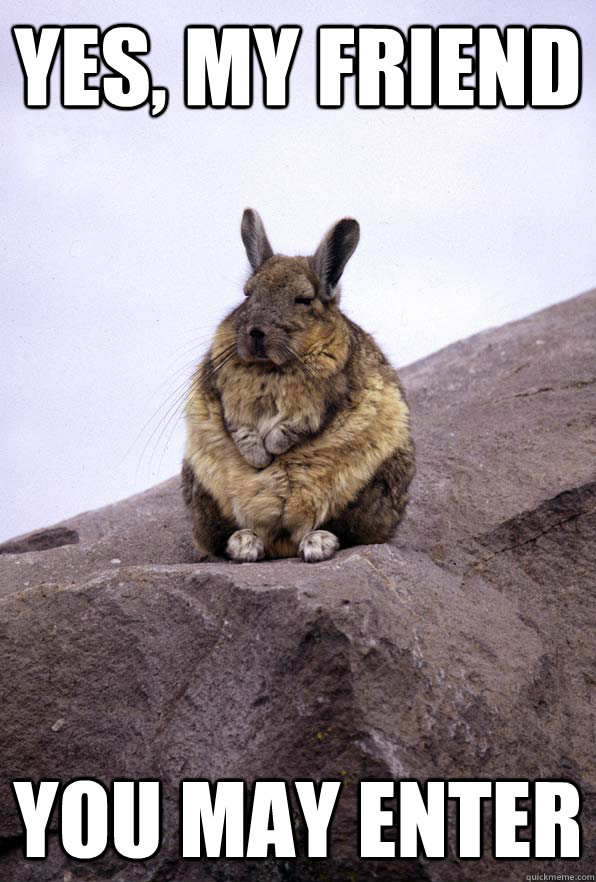 yes, my friend you may enter - yes, my friend you may enter  Wise Wondering Viscacha