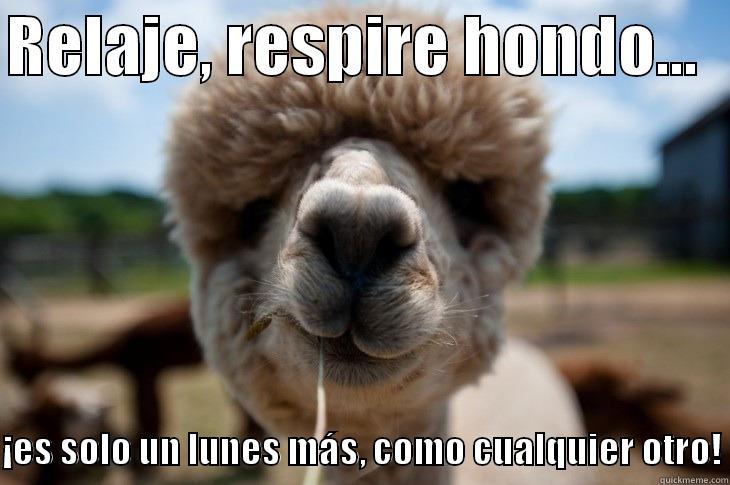 RELAJE, RESPIRE HONDO...    ¡ES SOLO UN LUNES MÁS, COMO CUALQUIER OTRO! Misc