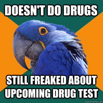 DOESN't do drugs still freaked about upcoming drug test  Paranoid Parrot