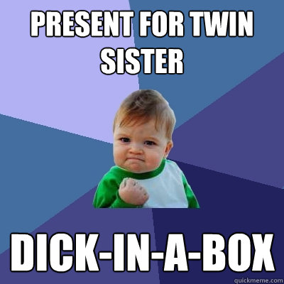 present for twin sister dick-in-a-box - present for twin sister dick-in-a-box  Success Kid