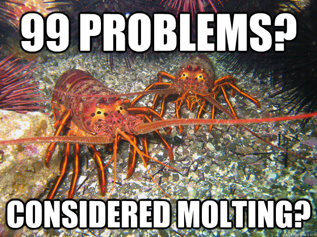 99 Problems? considered molting?  Advice Lobsters