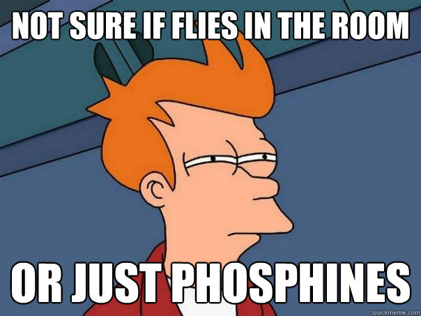 Not sure if flies in the room or just phosphines   Futurama Fry