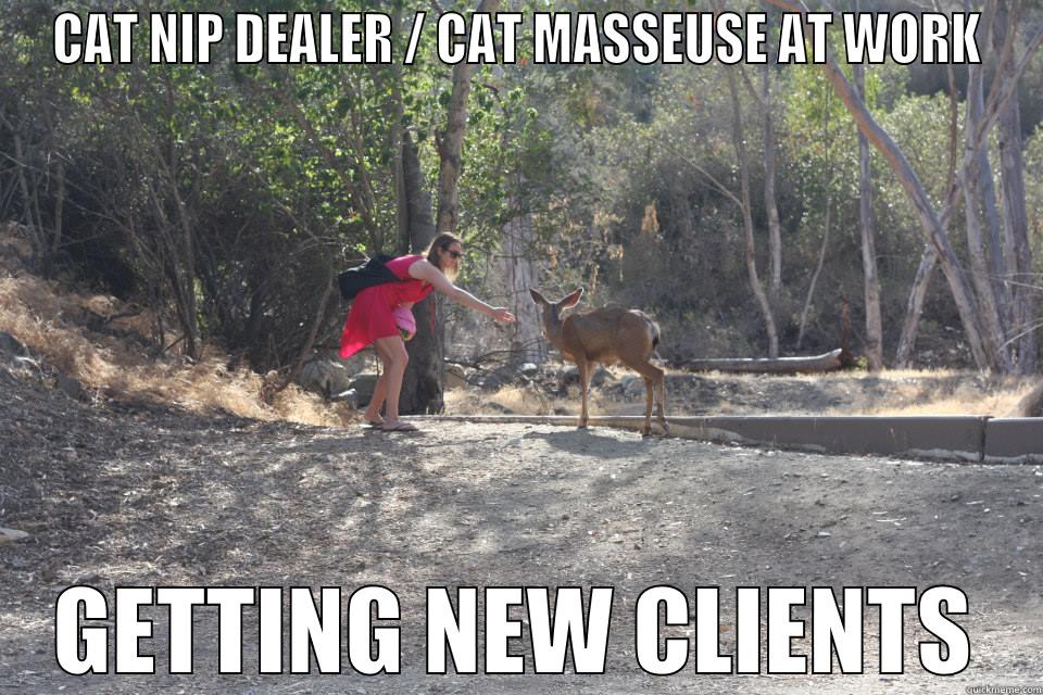 CAT NIP DEALER / CAT MASSEUSE AT WORK GETTING NEW CLIENTS Misc