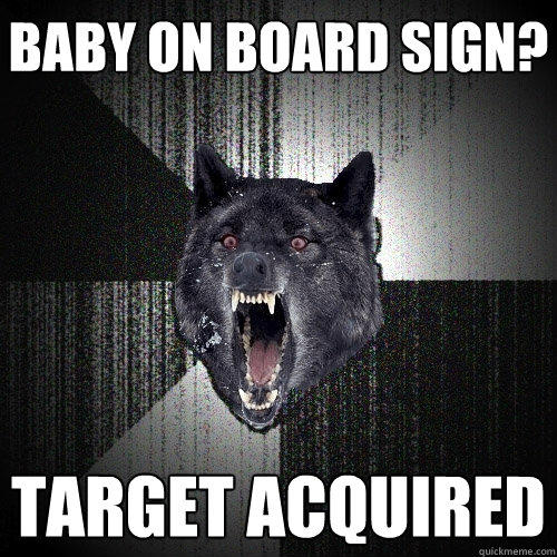 Baby on board sign? Target acquired   