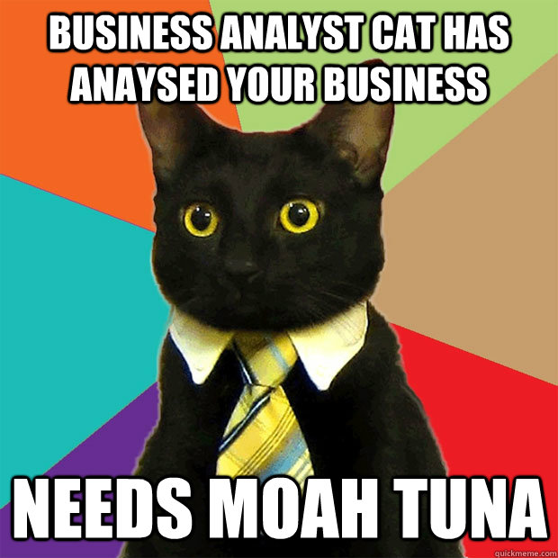 Business analyst cat has anaysed your business Needs moah tuna  Business Cat