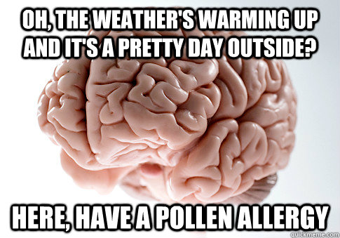Oh, the weather's warming up and it's a pretty day outside? Here, have a pollen allergy - Oh, the weather's warming up and it's a pretty day outside? Here, have a pollen allergy  Scumbag Brain