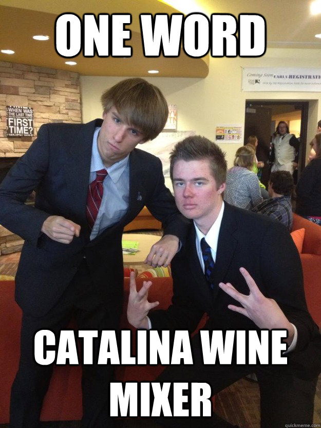 one word catalina wine mixer - one word catalina wine mixer  True Workaholics