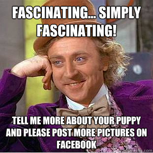 Fascinating... simply fascinating!  Tell me more about your puppy and please post more pictures on facebook  Condescending Wonka