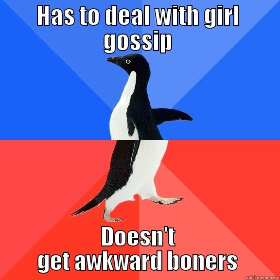 HAS TO DEAL WITH GIRL GOSSIP DOESN'T GET AWKWARD BONERS Socially Awkward Awesome Penguin