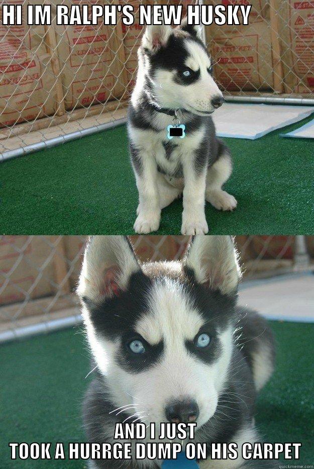 HI IM RALPH'S NEW HUSKY               AND I JUST TOOK A HURRGE DUMP ON HIS CARPET Insanity puppy