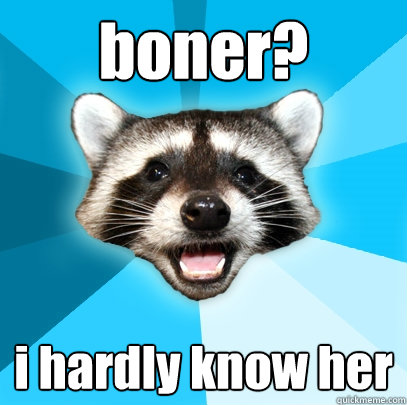 boner? i hardly know her - boner? i hardly know her  Lame Pun Coon