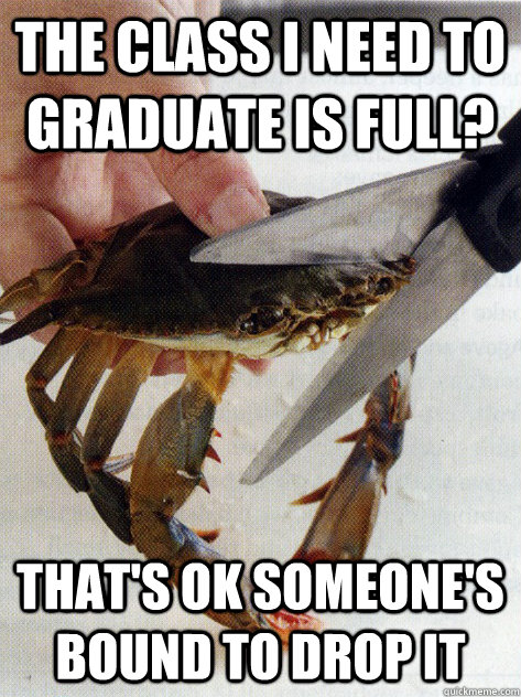 the class i need to graduate is full? that's ok someone's bound to drop it  Optimistic Crab