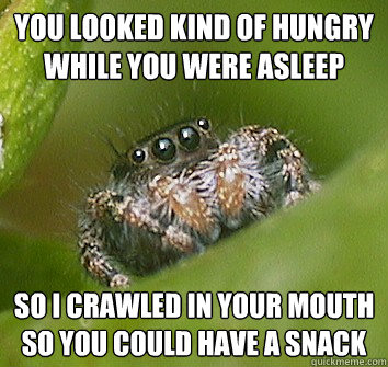 You looked kind of hungry while you were asleep so I crawled in your mouth so you could have a snack  Misunderstood Spider