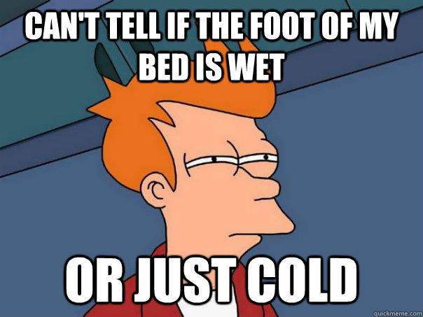 Can't tell if the foot of my bed is wet Or just cold  Futurama Fry