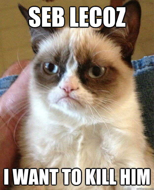 Seb Lecoz i want to kill him  Grumpy Cat