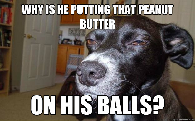 Why is he putting that peanut butter on his balls?  Skeptical Mutt