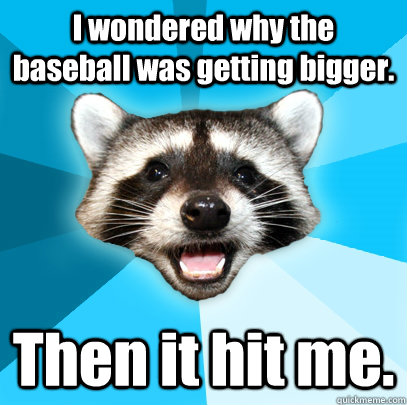 I wondered why the baseball was getting bigger.  Then it hit me. - I wondered why the baseball was getting bigger.  Then it hit me.  Lame Pun Coon