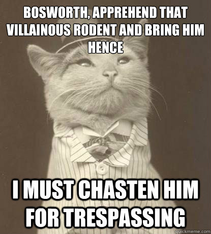 Bosworth, apprehend that villainous rodent and bring him hence I must chasten him for trespassing  Aristocat