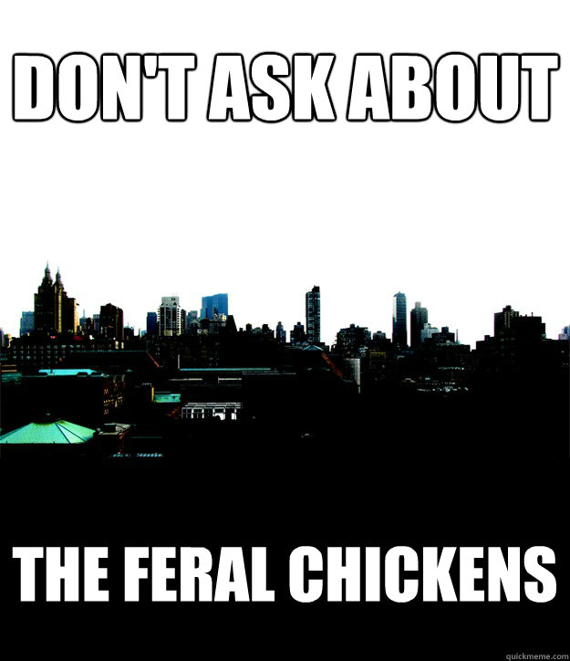 don't ask about the feral chickens - don't ask about the feral chickens  Crap and Cowl