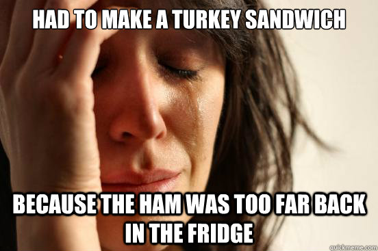 Had to Make A turkey Sandwich Because the ham was too far back in the fridge  First World Problems