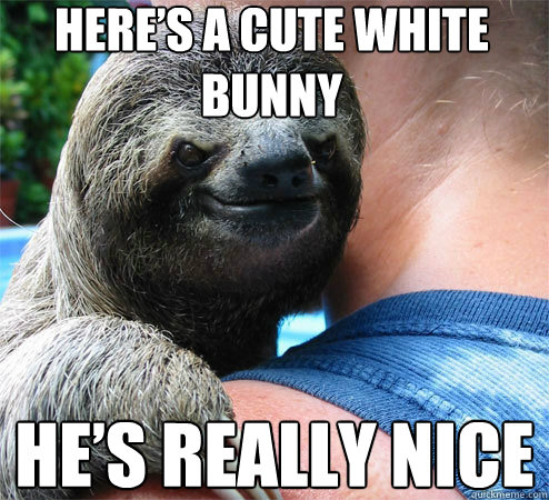 Here’s a cute white bunny He’s really nice  Suspiciously Evil Sloth