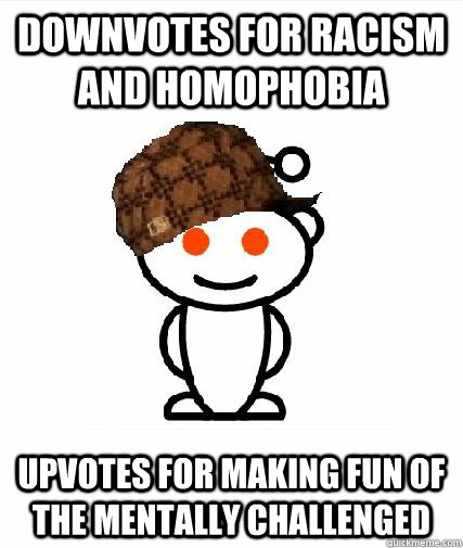 Downvotes for racism and homophobia upvotes for making fun of the mentally challenged   Scumbag Redditor