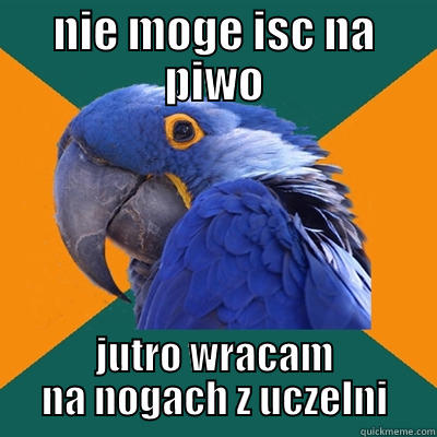 NIE MOGE ISC NA PIWO JUTRO WRACAM NA NOGACH Z UCZELNI Paranoid Parrot