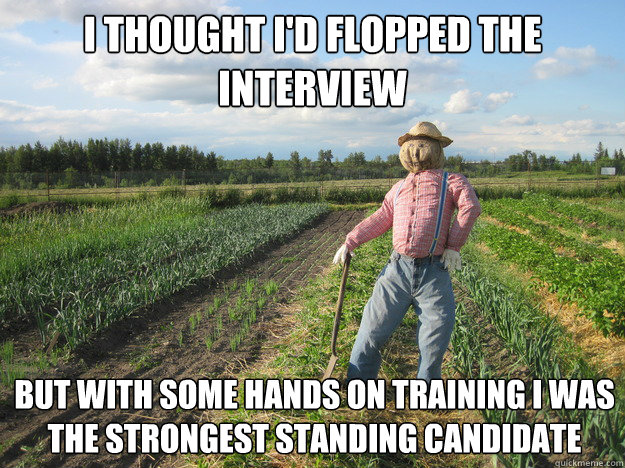 I thought i'd flopped the interview but with some hands on training i was the strongest standing candidate  Scarecrow